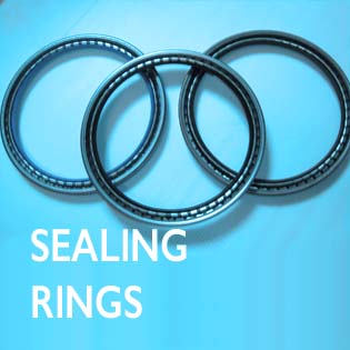 SEALING-RINGS